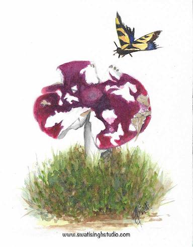 How to paint mushroom in watercolours
