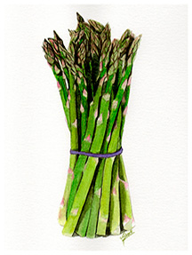 Asparagus