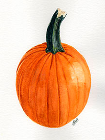 Pumpkin