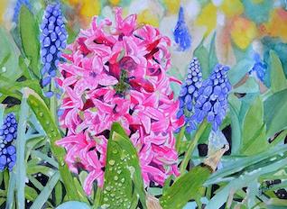 Hyacinths in watercolours