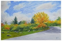The Road To Nature