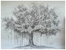 Banyan Tree