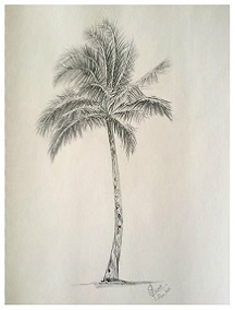 Palm Tree