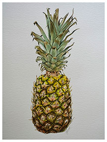 Pineapple