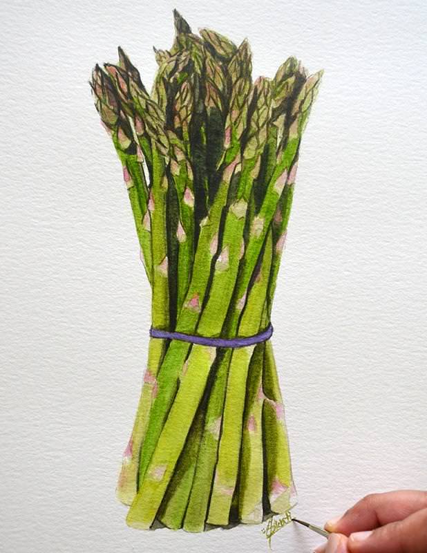 C:\Users\HOME\Desktop\Asparagus\blog\Asparagus_8.jpg