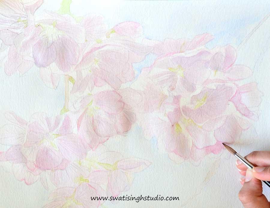 C:\Users\HOME\Desktop\Blog\Cherry_blossom_spring_6.jpg
