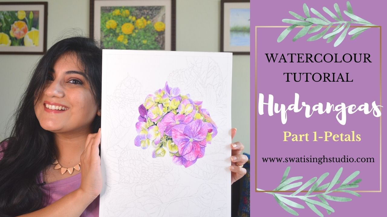 Hydrangea Flower in watercolors Part 1