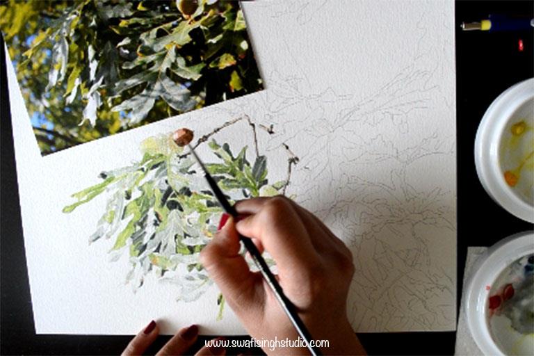 acorn17_18