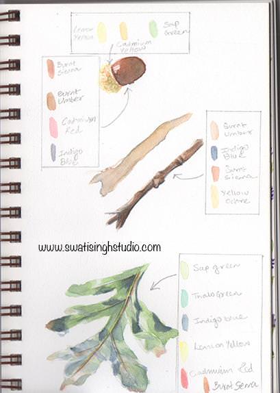 acorn17_color_chart