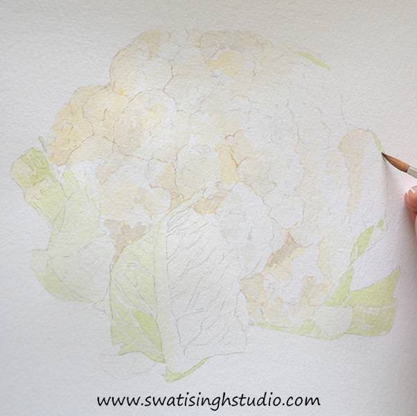 C:\Users\HOME\Desktop\cauliflower\blog\cauliflower_5.jpg