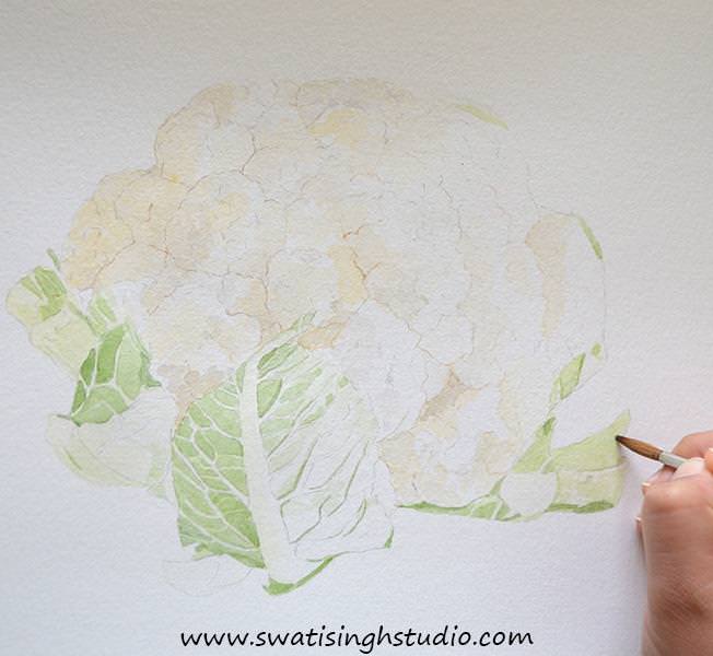 C:\Users\HOME\Desktop\cauliflower\blog\cauliflower_7.jpg