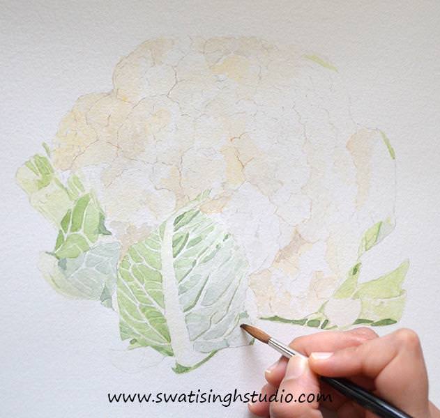 C:\Users\HOME\Desktop\cauliflower\blog\cauliflower_8.jpg