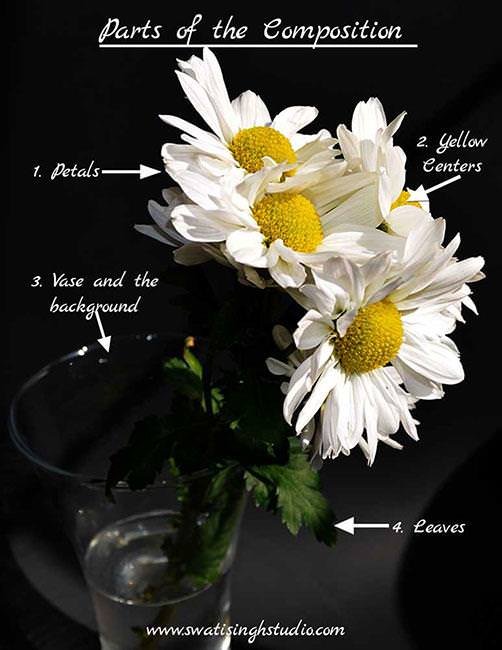 daisy_part2_composition.jpg