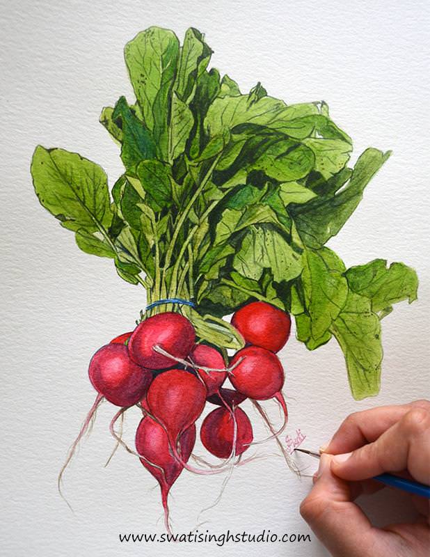 C:\Users\HOME\Desktop\Radish\blog\radish_12.jpg
