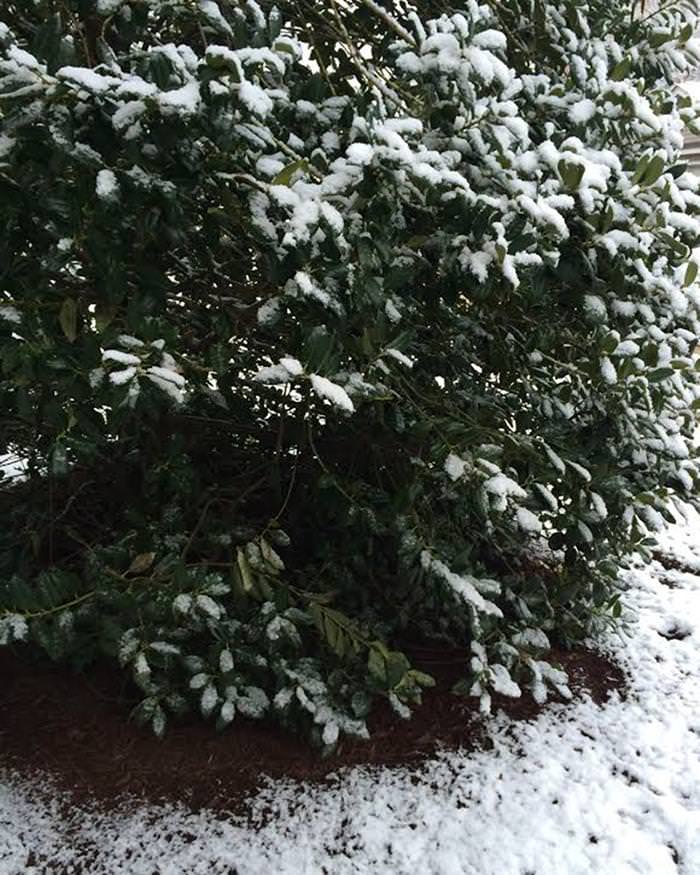 C:\Users\HOME\Desktop\snow.jpg