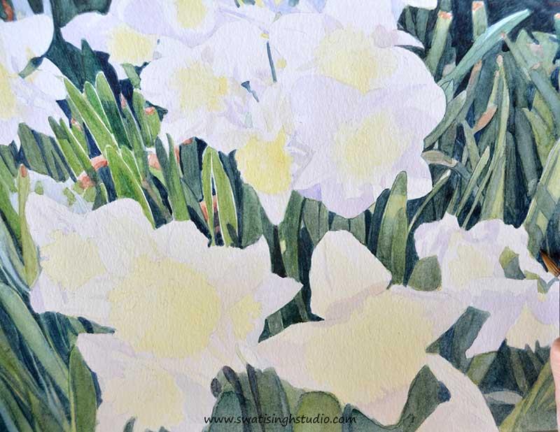 C:\Users\HOME\Desktop\daffodils\spring_daffodils_7.jpg
