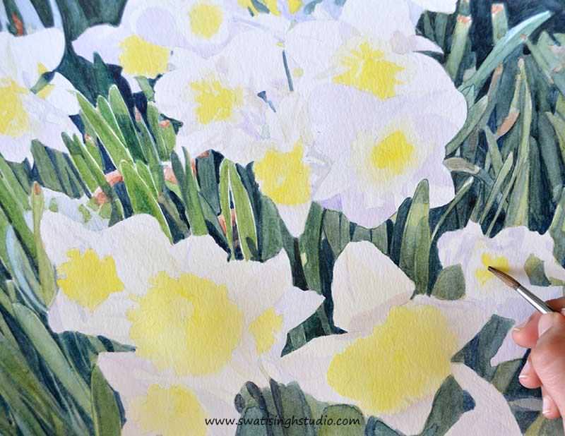 C:\Users\HOME\Desktop\daffodils\spring_daffodils_8.jpg