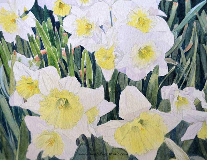 C:\Users\HOME\Desktop\daffodils\spring_daffodils_9.jpg
