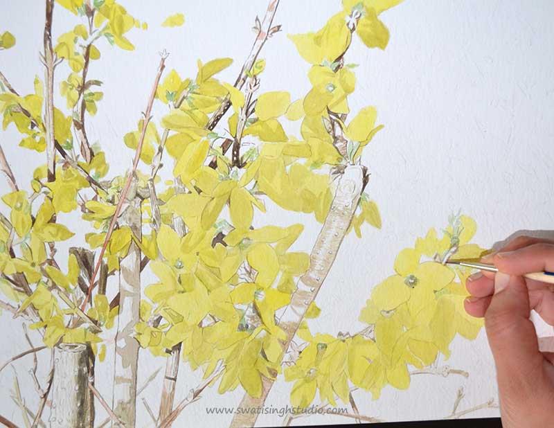 C:\Users\HOME\Desktop\blog\spring_forsythia_10.jpg
