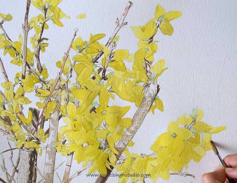 C:\Users\HOME\Desktop\blog\spring_forsythia_12.jpg