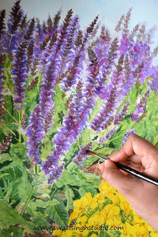 C:\Users\HOME\Desktop\blog\spring_salvia_may_night_12.jpg