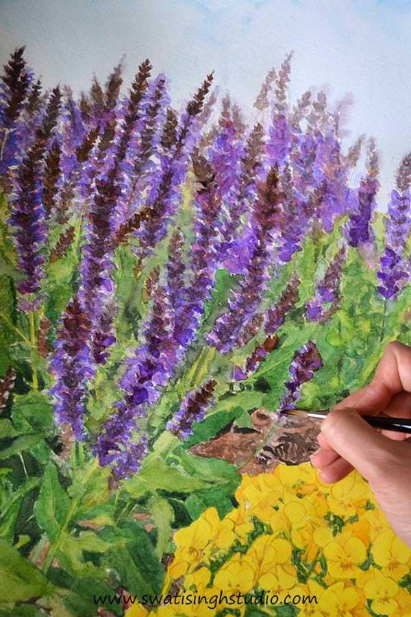 C:\Users\HOME\Desktop\blog\spring_salvia_may_night_13.jpg