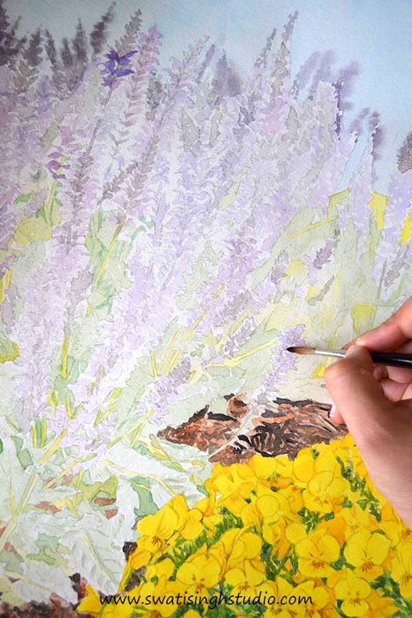 C:\Users\HOME\Desktop\blog\spring_salvia_may_night_5.jpg