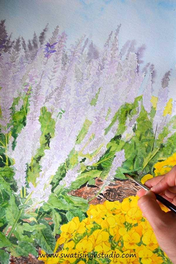 C:\Users\HOME\Desktop\blog\spring_salvia_may_night_9.jpg