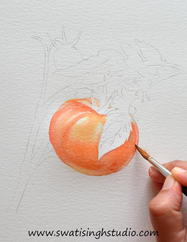 C:\Users\HOME\Desktop\Tomato\blog images\tomato_6.jpg