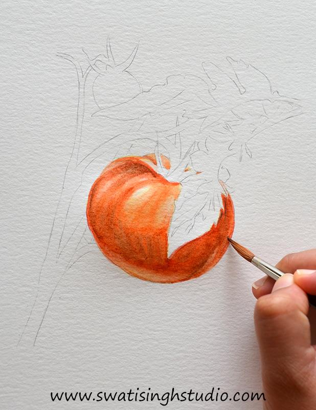 C:\Users\HOME\Desktop\Tomato\blog images\tomato_7.jpg