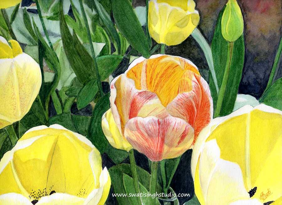 C:\Users\HOME\Desktop\blog\tulip_watercolor_13.jpg