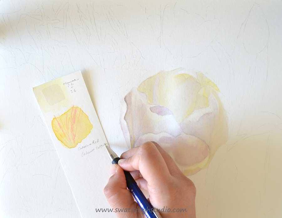 C:\Users\HOME\Desktop\blog\tulip_watercolor_4.jpg