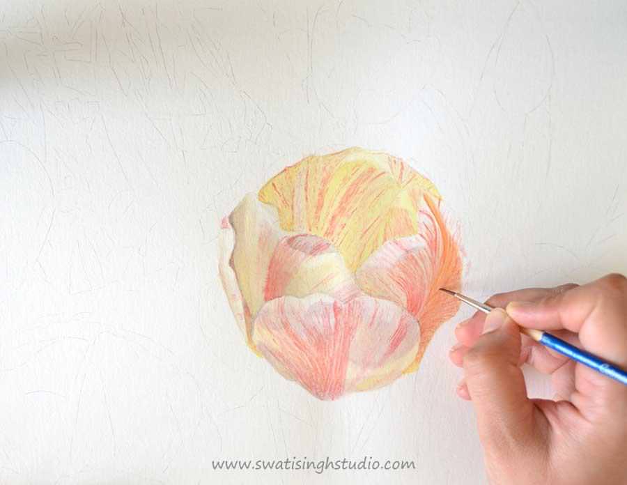 C:\Users\HOME\Desktop\blog\tulip_watercolor_5.jpg