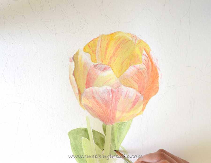 C:\Users\HOME\Desktop\blog\tulip_watercolor_9.jpg