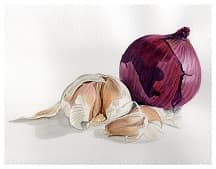 Onion and Garlic