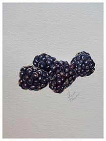 Blackberries