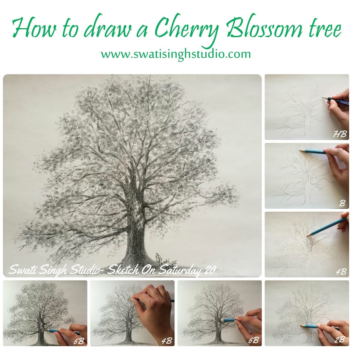 Cherry Blossom Tree