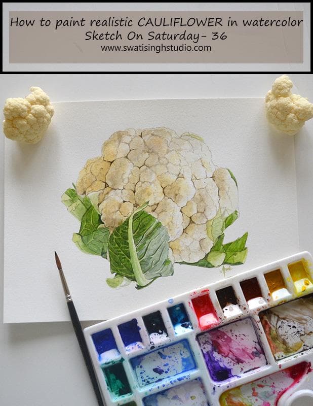 Cauliflower in watercolor