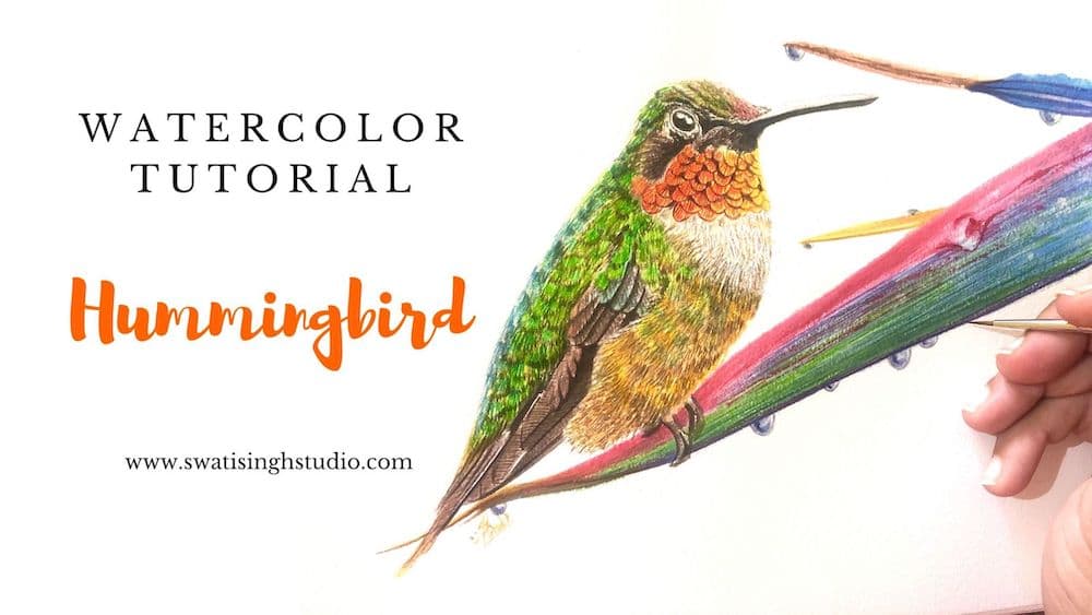 Hummingbird in watercolor