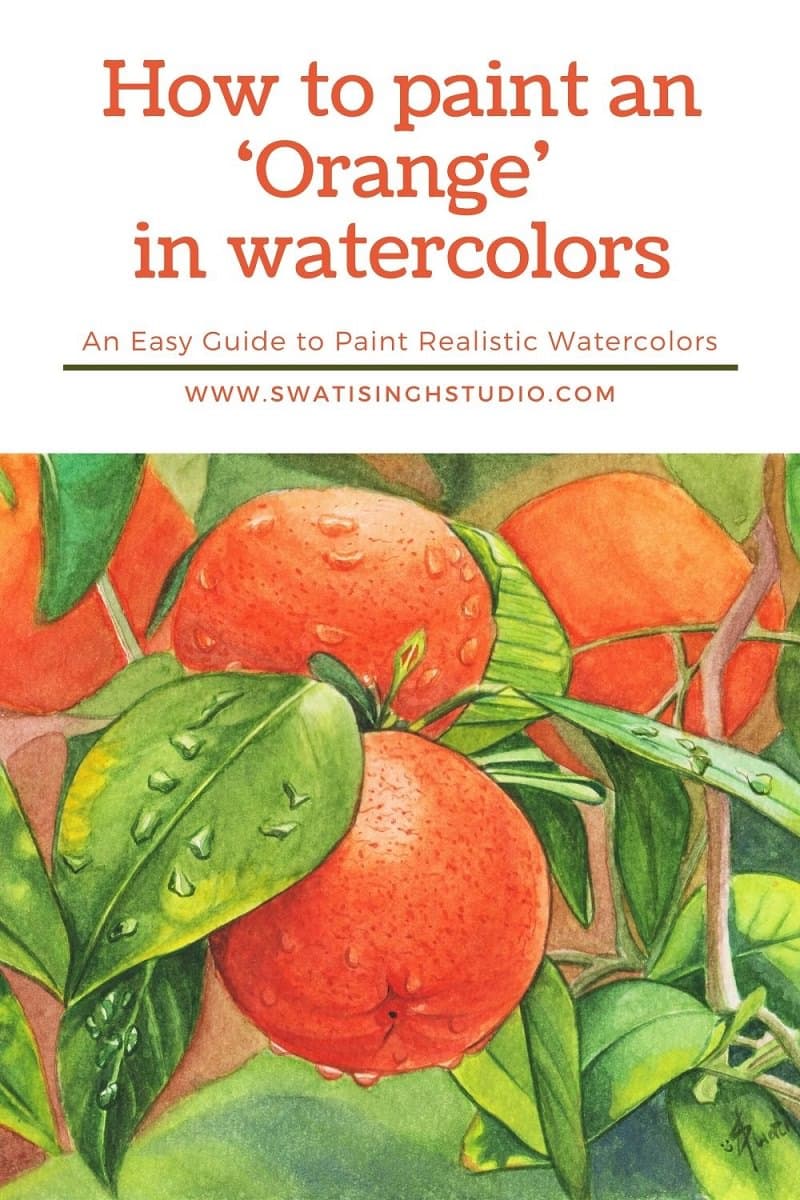 Oranges in watercolor