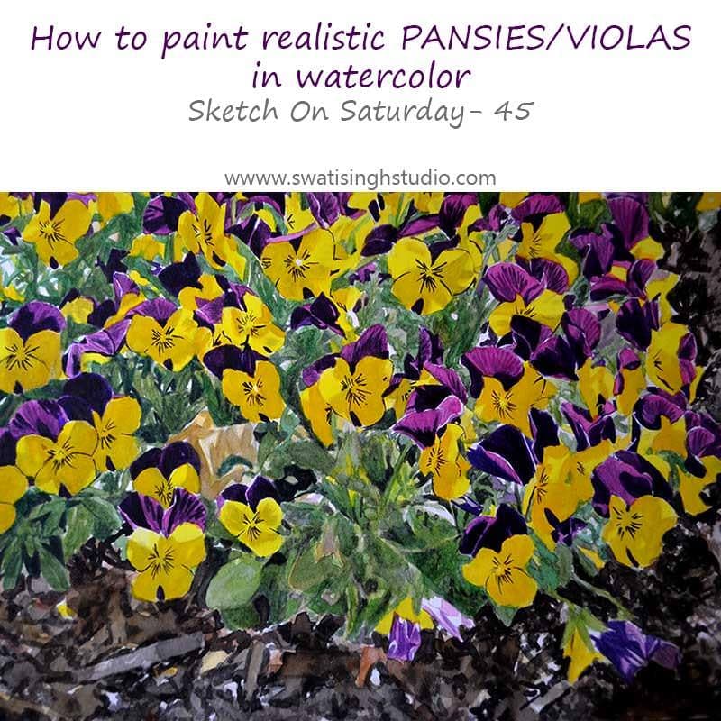 Spring- Pansies/violas in watercolor