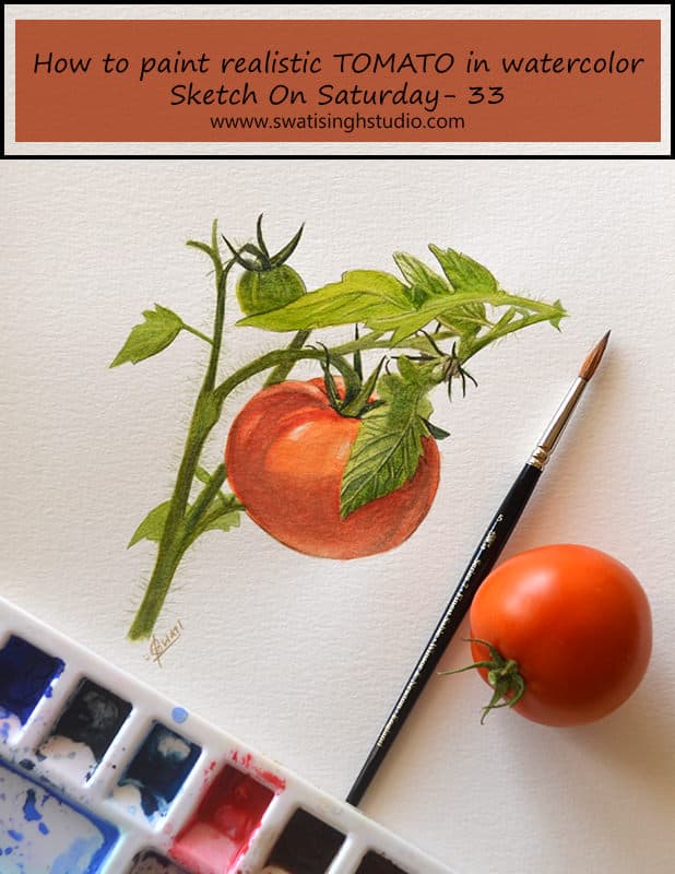 Tomato in watercolor