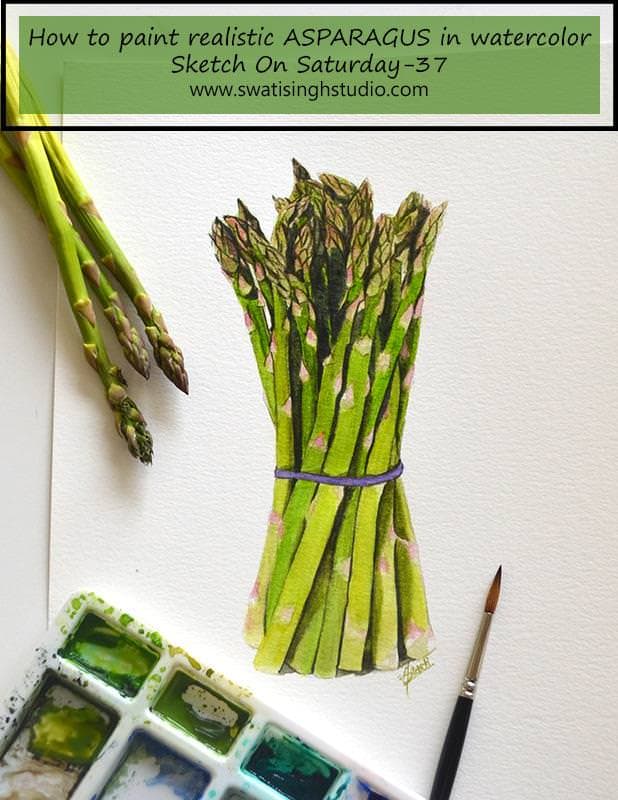 Asparagus in watercolor