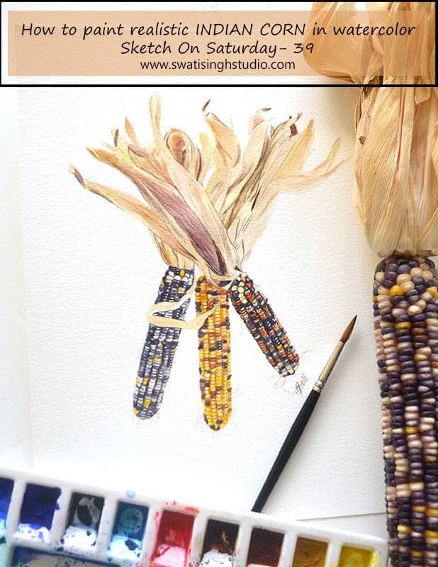Indian corn in watercolor