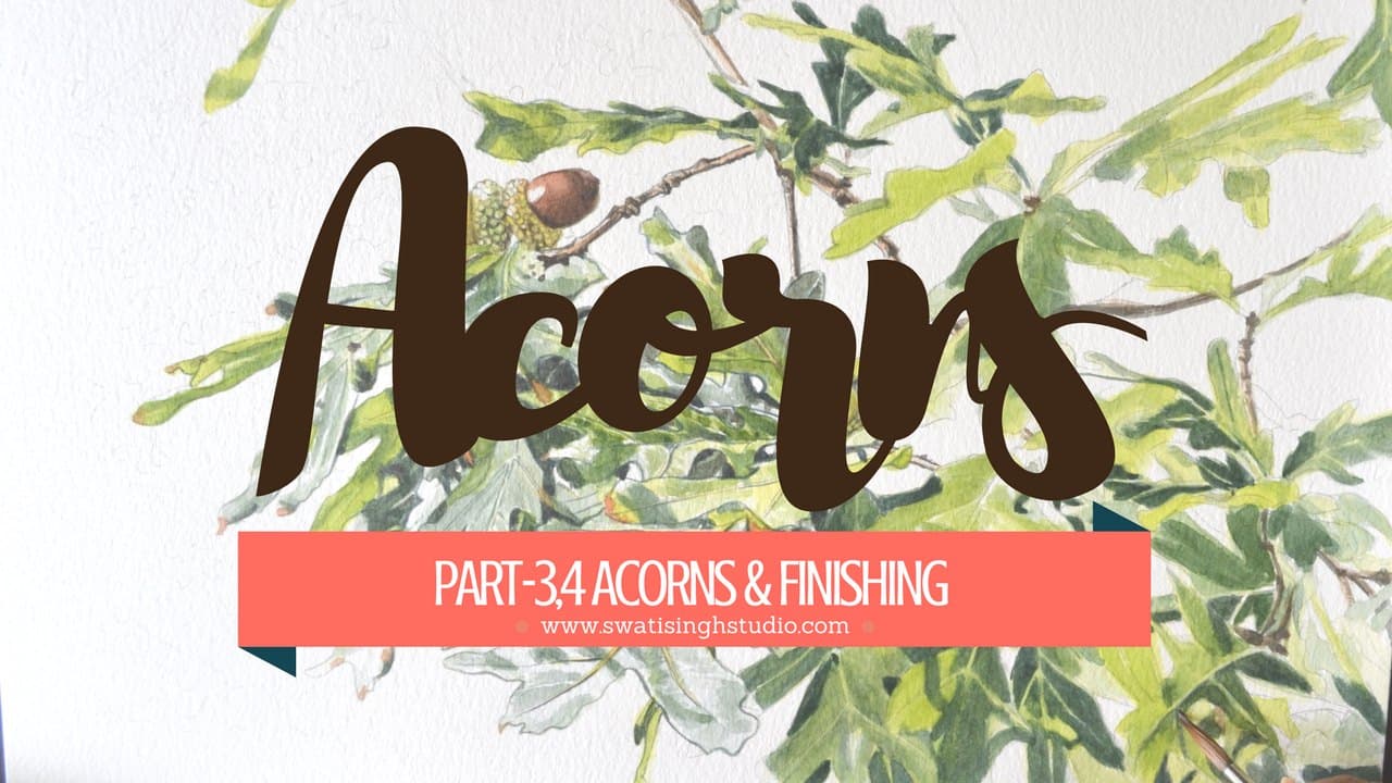 Acorns and Oak leaves Part 3&4