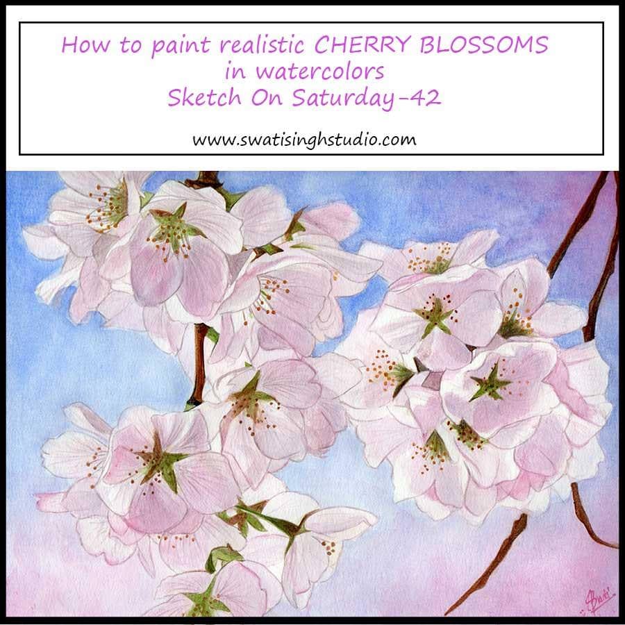 Spring- Cherry blossoms in watercolor