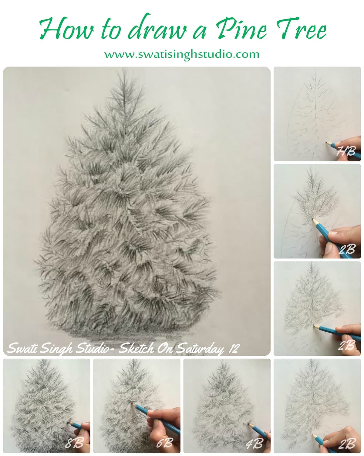 Pine Tree