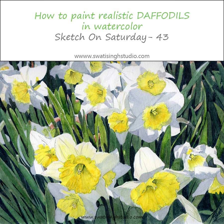 Spring- Daffodils in watercolor