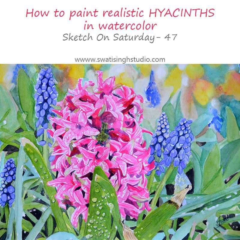 Spring- Hyacinths in watercolor